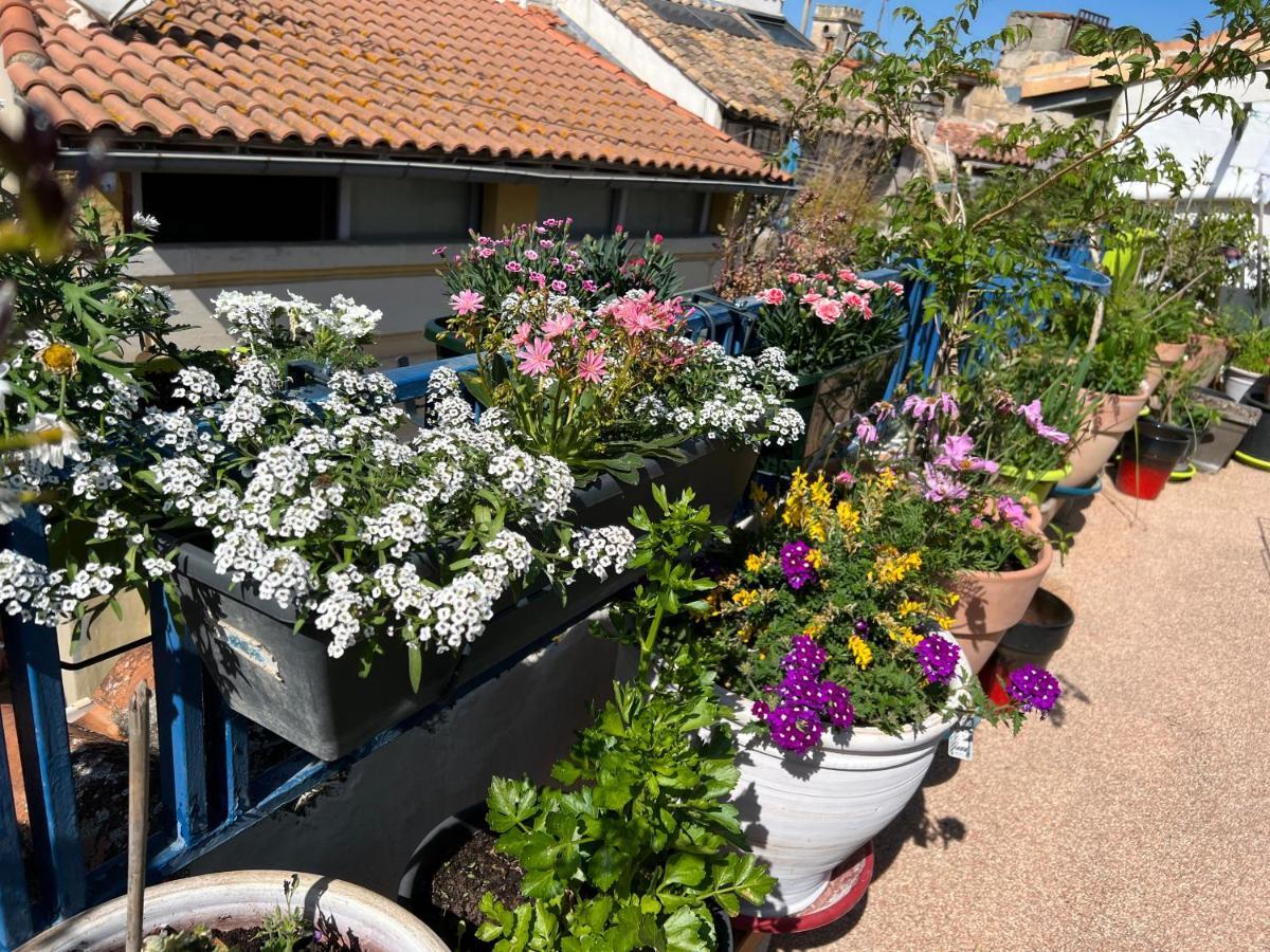 Loft Apartment , La Terrasse Centre Ville D'Arles, Luaran gambar